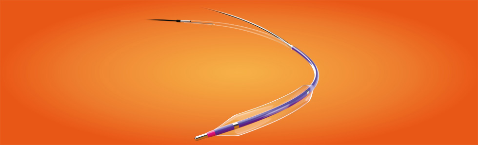 勝蠔?Vwin?顱內(nèi)球囊擴張導管(圖1)