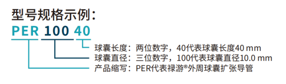 祿游?Luvjour 外周球囊擴(kuò)張導(dǎo)管(圖5)